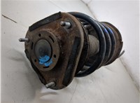 4852009890, 4813102830, 4833102050, 4815702060, 4804402030, 4860902130 Амортизатор подвески Toyota Corolla E12 2001-2006 20035427 #6
