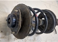  Амортизатор подвески Nissan Murano 2002-2008 20035681 #3