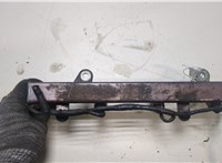  Форсунка топливная Nissan X-Trail (T30) 2001-2006 20035729 #2