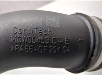 13718655836 Патрубок интеркулера BMW X1 (F48) 2015-2022 20036736 #5