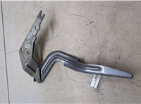 561823301D Петля капота Volkswagen Passat 2018-2022 USA 20037737 #5