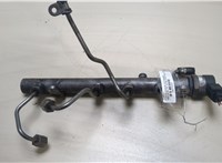  Рампа (рейка) топливная Mercedes ML W164 2005-2011 20038924 #1