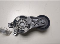 06F903315 Натяжитель приводного ремня Audi TT (8J) 2006-2010 20039289 #3