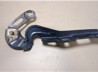  Петля капота Ford Focus 4 2018- 20038588 #1