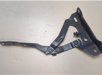  Петля капота Hyundai Tucson 4 2020- 20038699 #3