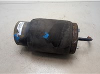 37116761443 Пневмоподушка BMW X5 E53 2000-2007 20039997 #4