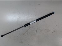 8731T1, 8731P1 Амортизатор крышки багажника Citroen C4 Picasso 2006-2013 20040926 #1