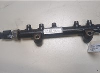  Рампа (рейка) топливная Citroen C4 2010-2015 20042779 #1