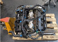 101029W2AD Двигатель (ДВС) Nissan Murano 2002-2008 20044848 #13