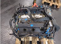 101029W2AD Двигатель (ДВС) Nissan Murano 2002-2008 20044848 #15