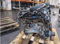 101029W2AD Двигатель (ДВС) Nissan Murano 2002-2008 20044848 #19