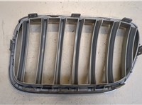 7210726 Решетка радиатора BMW X3 F25 2010-2014 20048723 #2