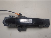 GN1Z5826684A, GN1Z7426604AB Ручка двери наружная Ford EcoSport 2017- 20049236 #1