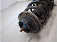 7H0413031N Амортизатор подвески Volkswagen Transporter 5 2003-2015 20053881 #7