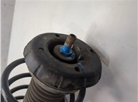 1619274, 3M5118K001CCM Амортизатор подвески Ford C-Max 2002-2010 20054050 #10