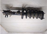 51929882, 51920393 Амортизатор подвески Fiat Qubo 2007-2016 20054309 #6