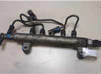  Рампа (рейка) топливная Nissan Navara 2005-2015 20054588 #1