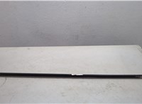 51328257701 Молдинг стекла (боковое) BMW X5 E53 2000-2006 20055044 #1