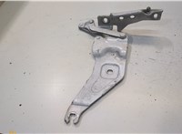  Петля капота BMW X6 E71 2007-2014 20055483 #1