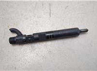 EJBR05102D Форсунка топливная Renault Scenic 2003-2009 20058045 #5