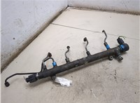 A6460701595 Рампа (рейка) топливная Mercedes Vito W639 2004-2013 20059747 #5