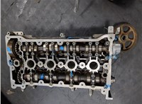 06B103351J Головка блока (ГБЦ) Audi A4 (B6) 2000-2006 20062017 #3