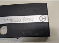  Накладка декоративная на ДВС Mercedes C W203 2000-2007 20064970 #1