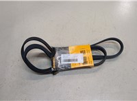 6PK1510 Натяжитель приводного ремня Hyundai Tucson 1 2004-2009 20067755 #1