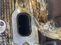 7701476945 Двигатель (ДВС) Renault Megane 2 2002-2009 20068140 #4
