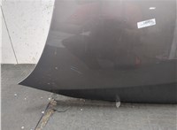 41617111385, 7111385 Капот BMW 5 E60 2003-2010 20068254 #13
