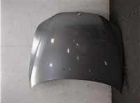 41617111385, 7111385 Капот BMW 5 E60 2003-2010 20068254 #14