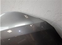 41617111385, 7111385 Капот BMW 5 E60 2003-2010 20068254 #21