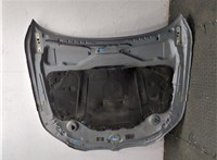 41617111385, 7111385 Капот BMW 5 E60 2003-2010 20068254 #28