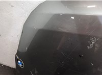 41617111385, 7111385 Капот BMW 5 E60 2003-2010 20068254 #30
