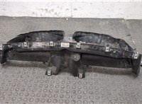 56450913 Воздухозаборник BMW 7 F01 2008-2015 20068813 #9