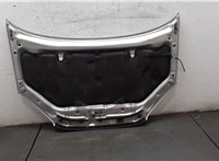  Капот Toyota RAV 4 2000-2005 20068885 #4