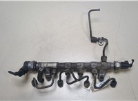  Рампа (рейка) топливная Volkswagen Amarok 2010-2016 20070264 #1