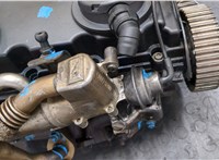  Головка блока (ГБЦ) Audi A4 (B7) 2005-2007 20077248 #10