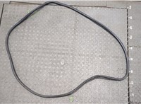 Уплотнитель Acura TLX 2017-2020 20077963 #2