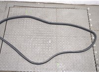  Уплотнитель Acura TLX 2017-2020 20077968 #1