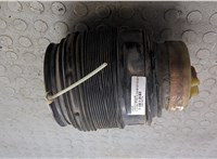 A2123203925 Пневмоподушка Mercedes E W212 2009-2016 20078374 #6