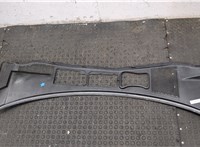 3B1819417D Жабо под дворники (дождевик) Volkswagen Passat 5 2000-2005 20078885 #11