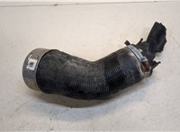 31657758 Патрубок интеркулера Volvo V90 2016-2020 20079270 #2