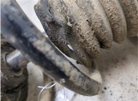 31316750790, 6750790 Амортизатор подвески BMW 3 E46 1998-2006 20079281 #6