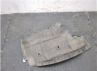 638450007R Защита арок (подкрылок) Renault Scenic 2009-2012 20081043 #5