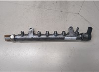  Рампа (рейка) топливная Volkswagen Tiguan 2007-2011 20081363 #1