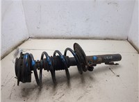  Амортизатор подвески Renault Megane 2 2002-2009 20082313 #5