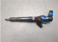 8201100113 Форсунка топливная Renault Kangoo 2013-2021 20084499 #4