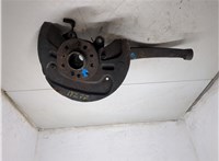 A1643302420, A1643560201 Ступица (кулак, цапфа) Mercedes GL X164 2006-2012 20087682 #5