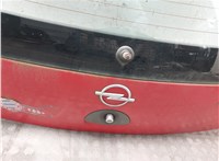  Крышка (дверь) багажника Opel Corsa C 2000-2006 20087811 #12